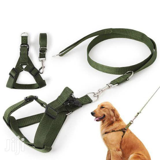 Dog Harness