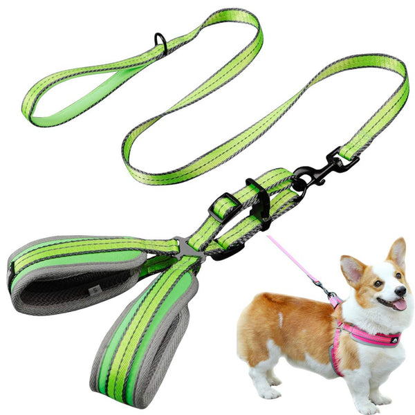 Puppy Collar Leash Bundle