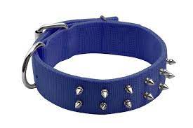 Double Spike Collar