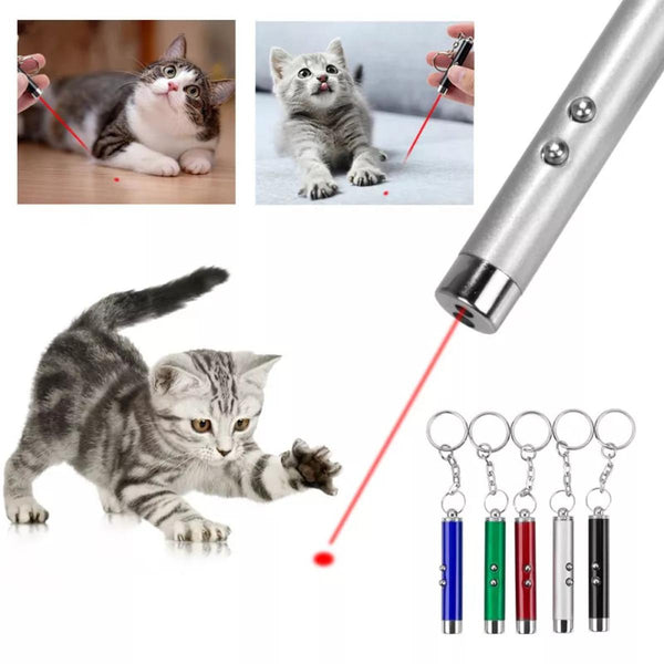 Cat Laser Toy Light