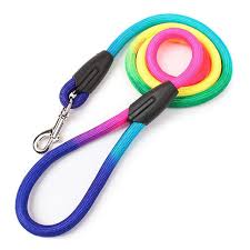 Puppy Rainbow Leash Medium