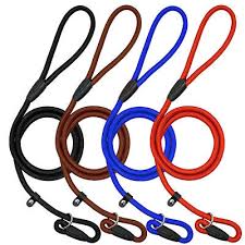 Lab Rope Leash