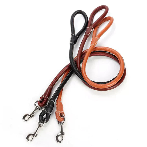 PU Leather Collar Leash Set