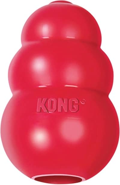 KONG Large