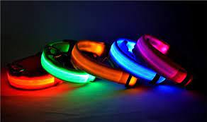 LED Puppy Collar