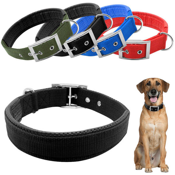 Nylon Padded Dog Collar